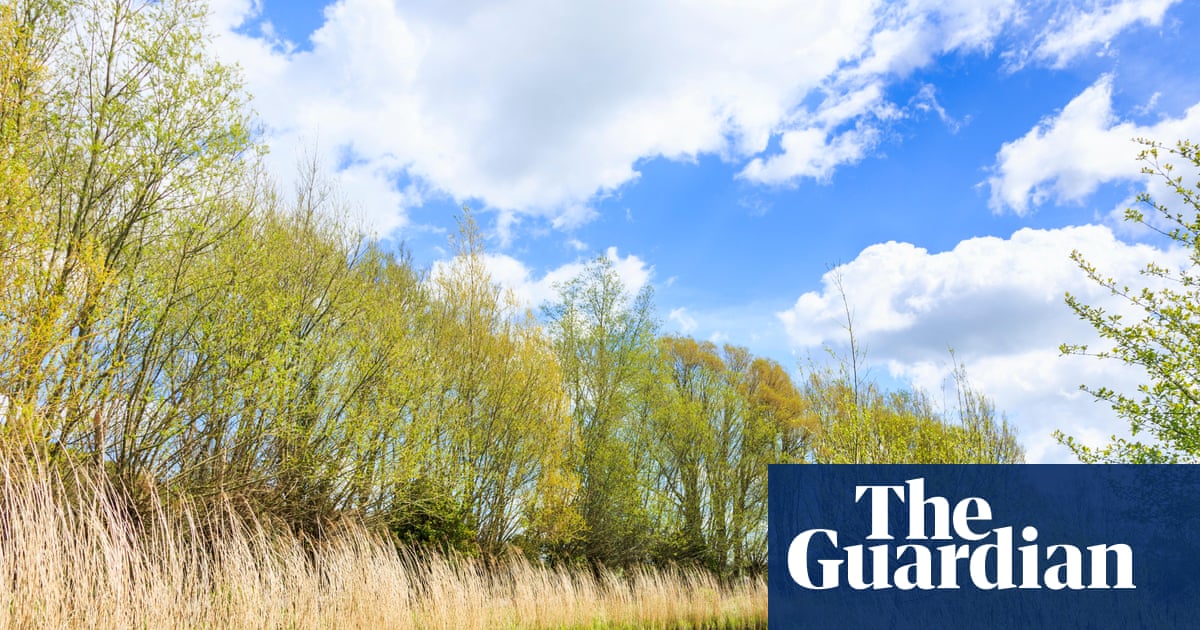 Wildlife has the right to roam our riverbanks too | Brief letters